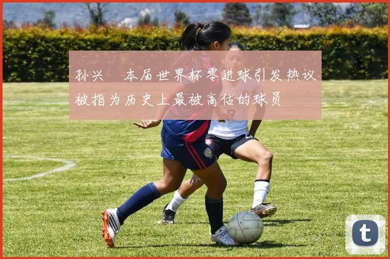 孙兴慜本届世界杯零进球引发热议被指为历史上最被高估的球员