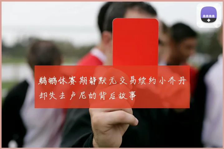 鹈鹕休赛期静默无交易续约小乔丹却失去卢尼的背后故事